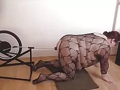 Bbw fjandinn hafi hjólið