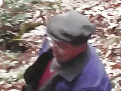 Skóginum röð - skógi villt